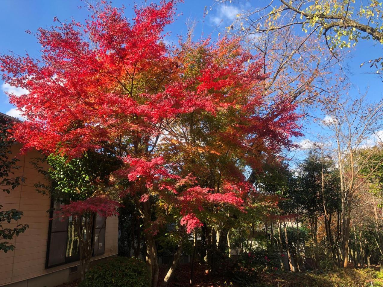 Yufuin Hoshinosato Bed & Breakfast Bagian luar foto
